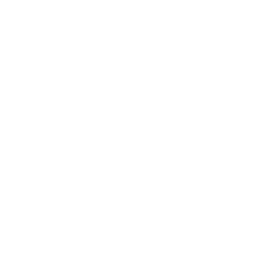 Pulsen