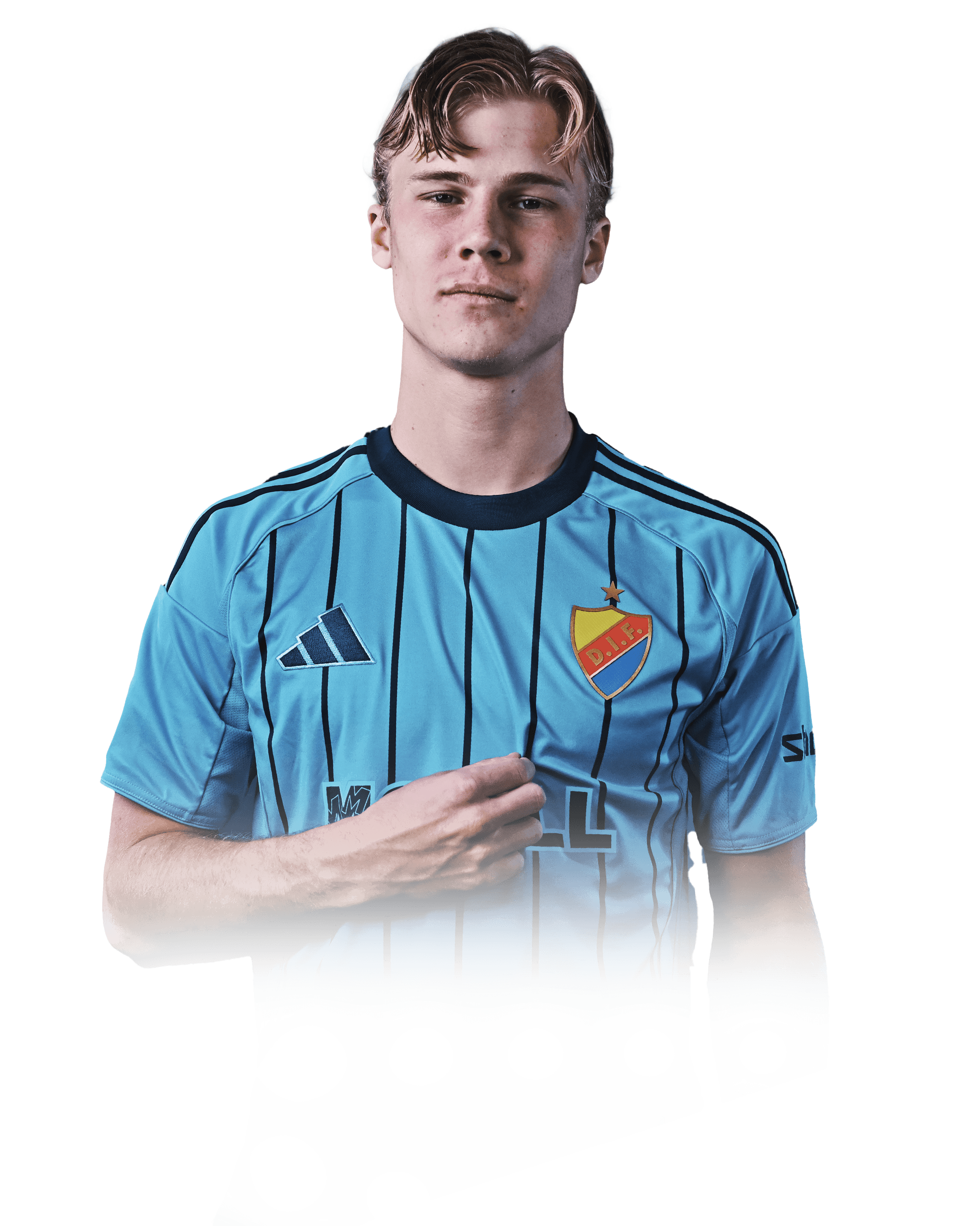 Theo Bergvall